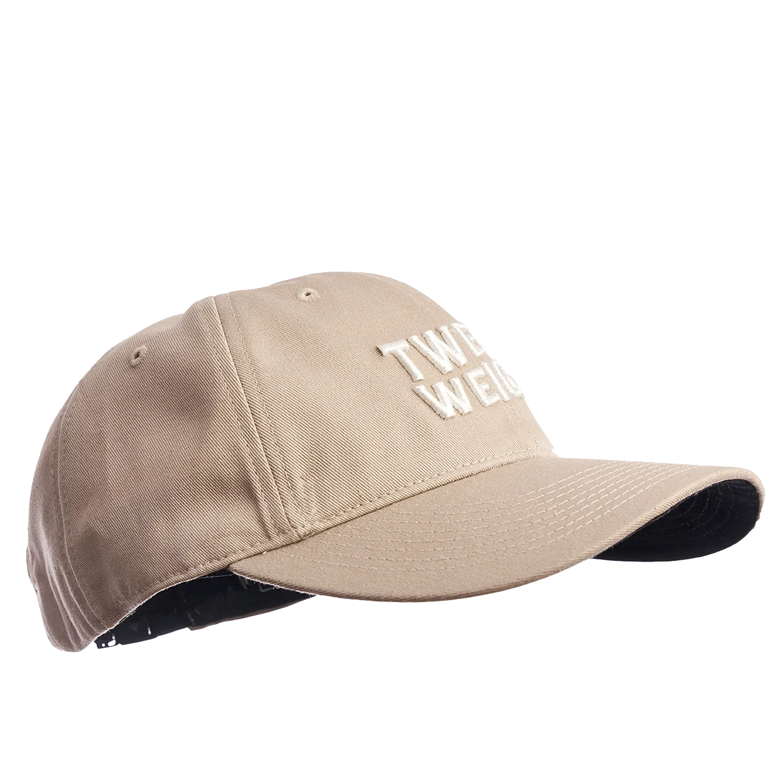 Big Swell 6 Panel Hat