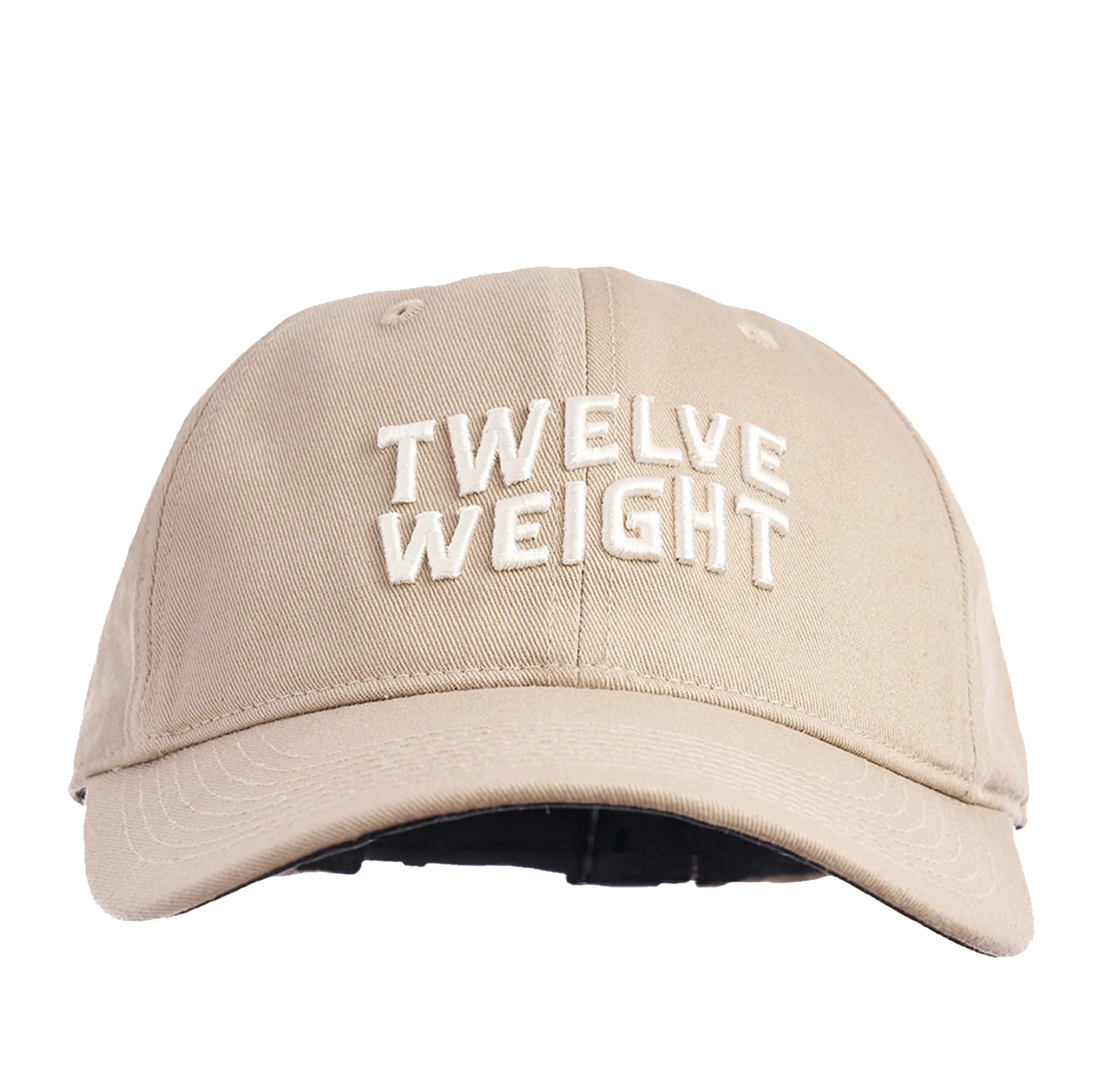 Big Swell 6 Panel Hat