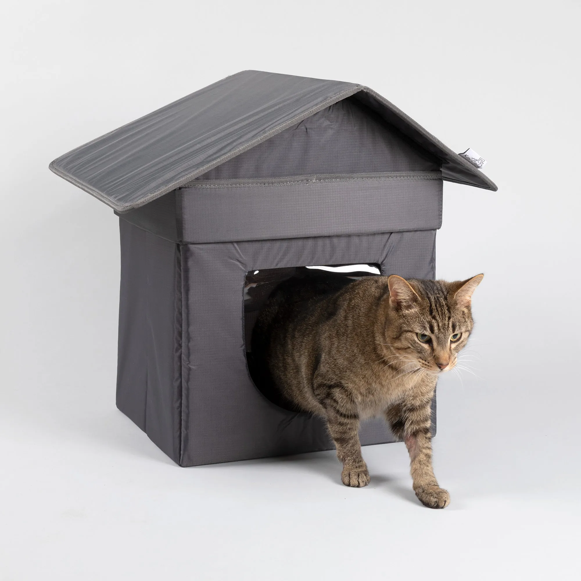 Give Shelter & Supplies to Stray Cats Living in Harsh Conditions