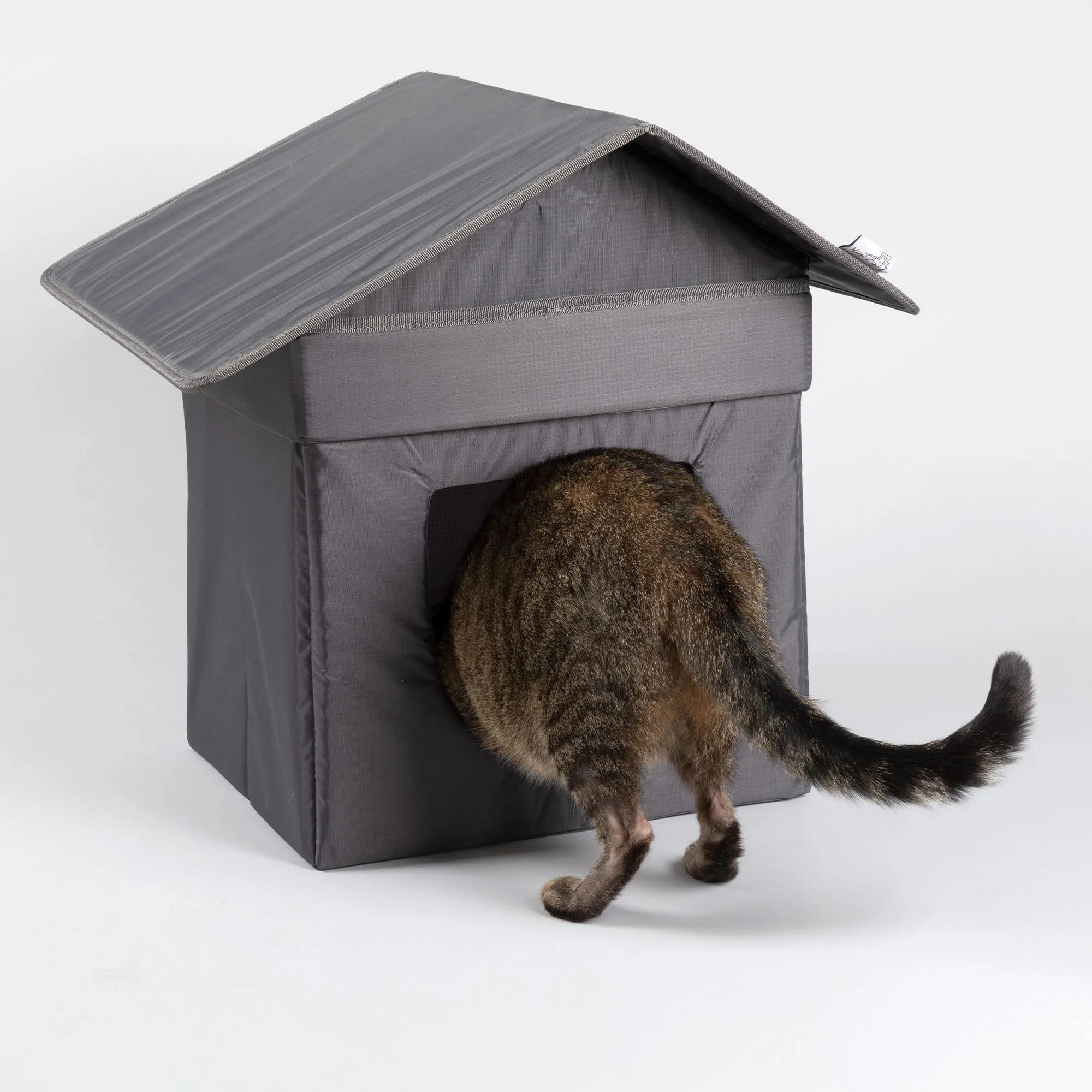 Give Shelter & Supplies to Stray Cats Living in Harsh Conditions