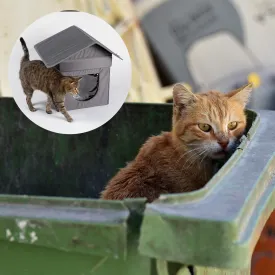Give Shelter & Supplies to Stray Cats Living in Harsh Conditions
