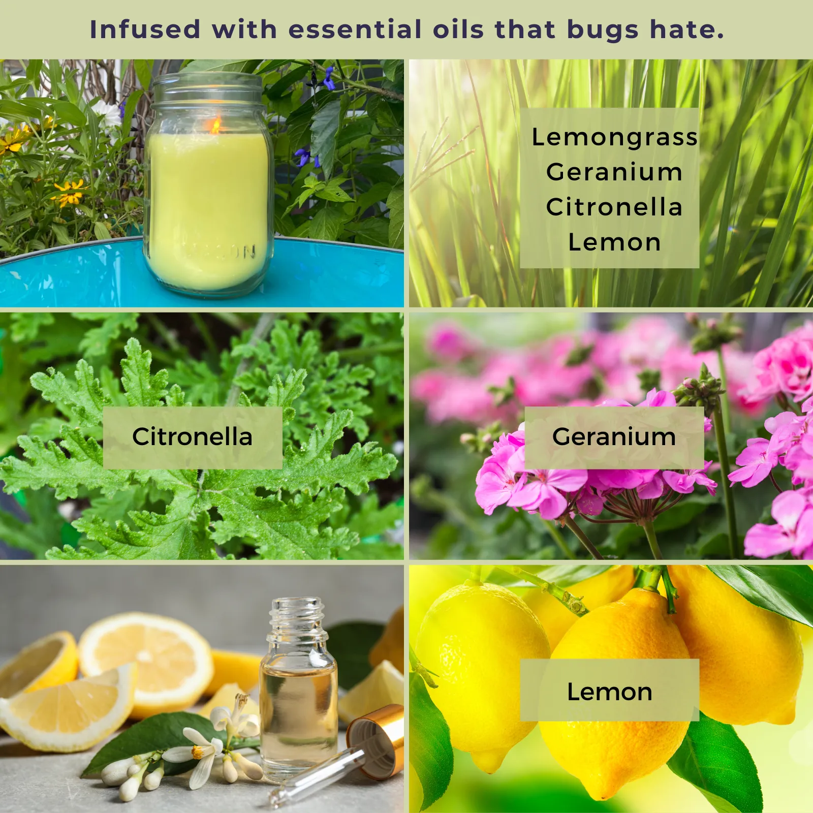 Mosquito Repellent Candle Natural Lemongrass | 12 Oz., Set of 3 | Soy-Base, Infused with Essential Oils | Made in USA