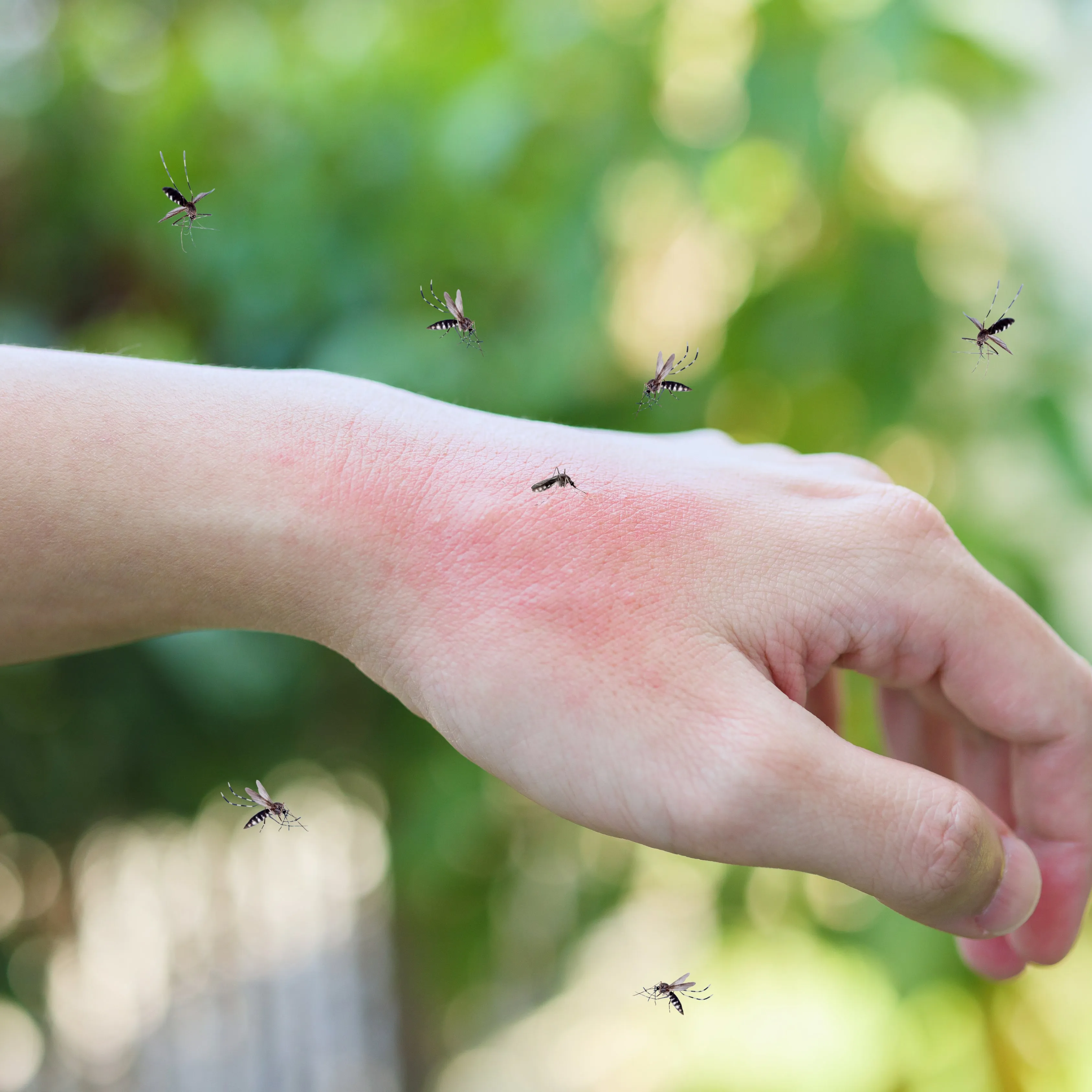 Natural Mosquito Repellent Roller
