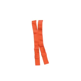 SEAC Elastic Support